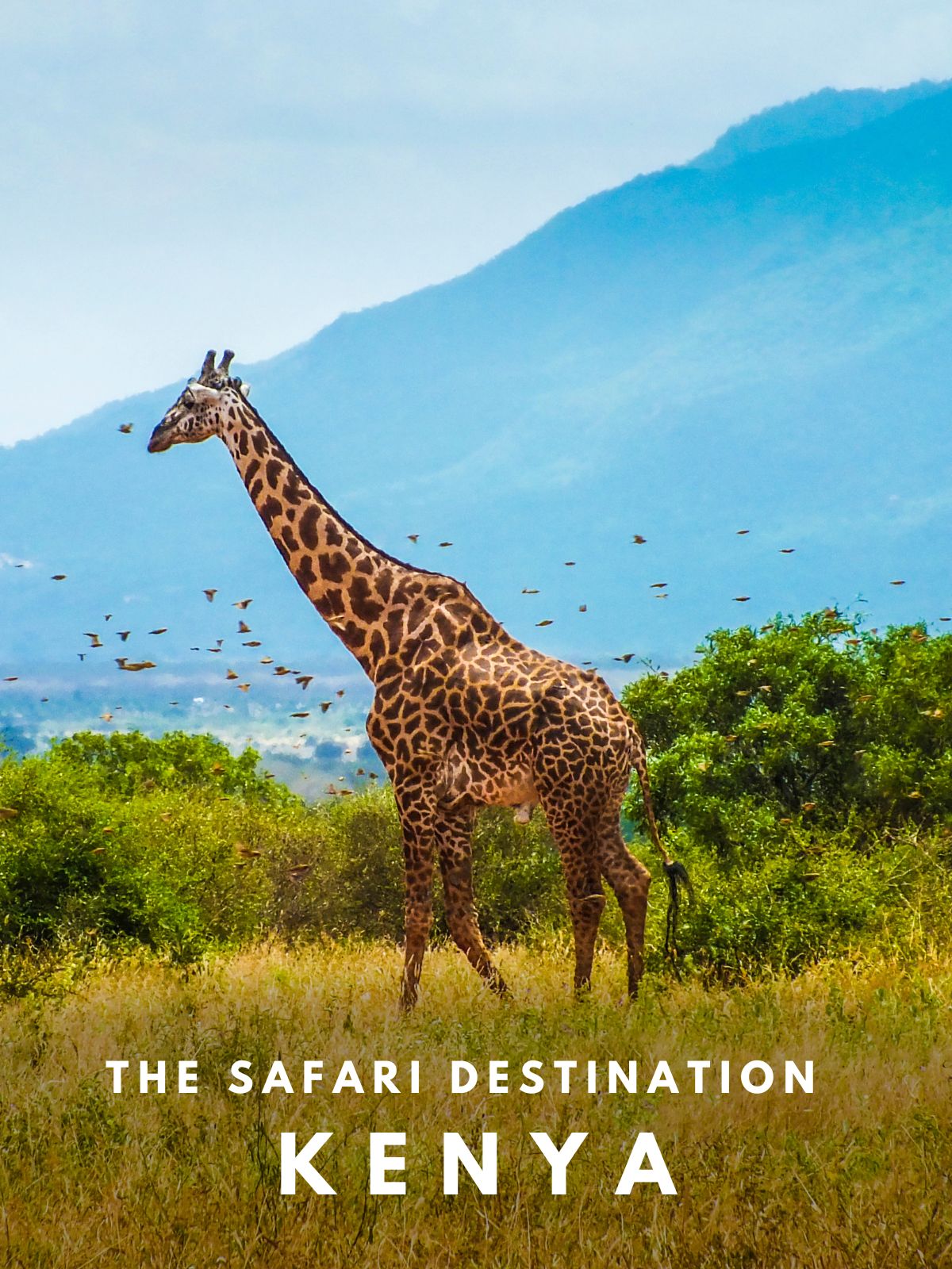Kenya