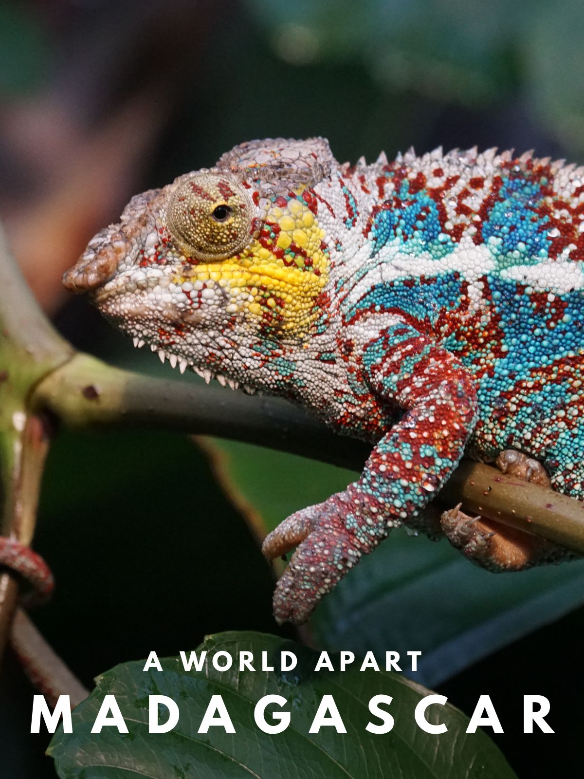 Madagascar