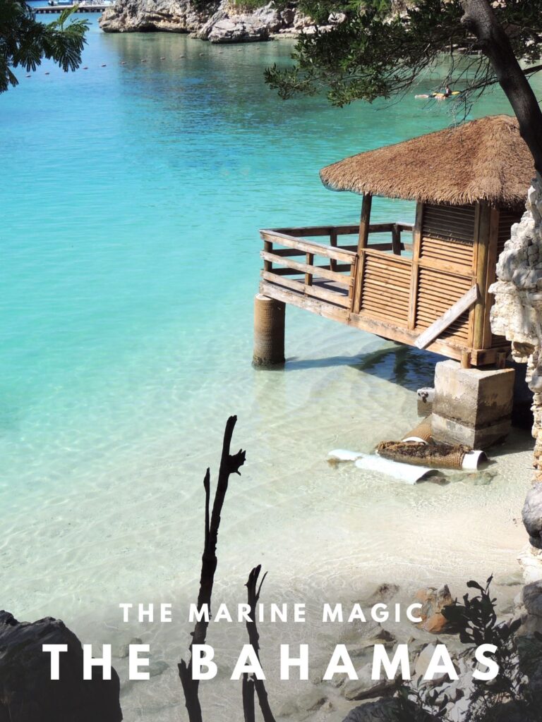 The Bahamas