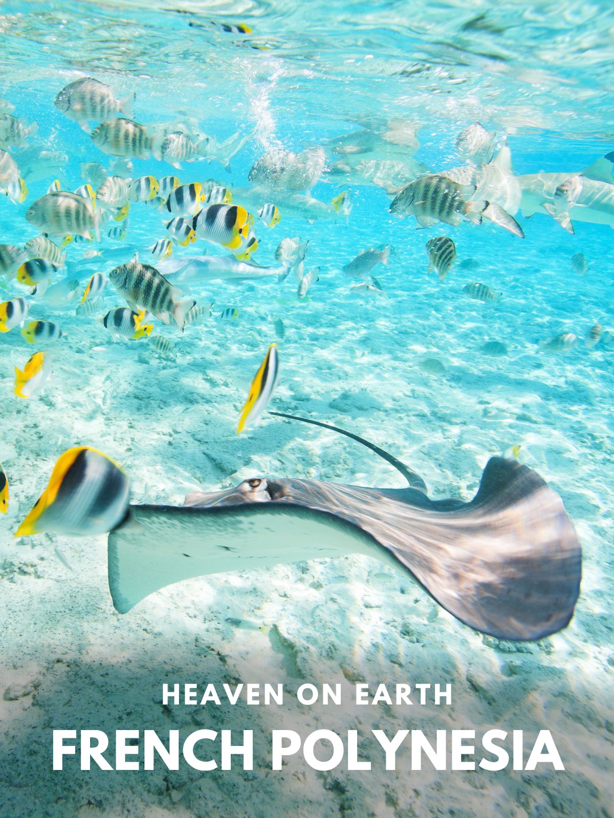 French Polynesia