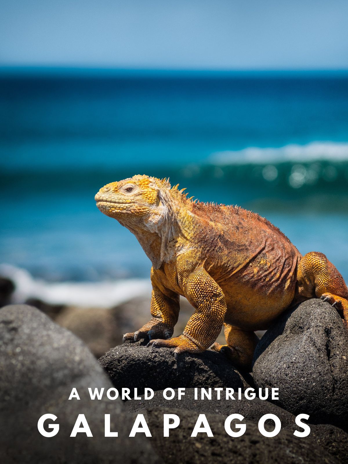 Galapagos